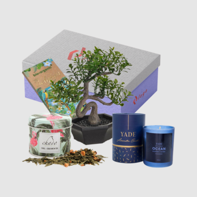 Kit 3